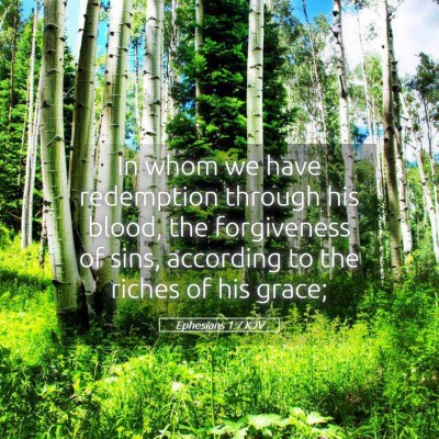 Picture 05 - Ephesians 1:7 KJV - In whom we have redemption through his blood, the - Bible Verse Picture