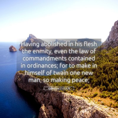 Picture 05 - Ephesians 2:15 KJV - Having abolished in his flesh the enmity, even - Bible Verse Picture