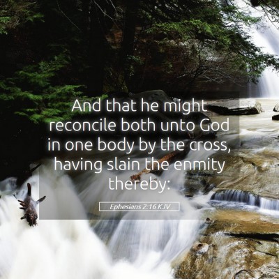 Picture 05 - Ephesians 2:16 KJV - And that he might reconcile both unto God in one - Bible Verse Picture