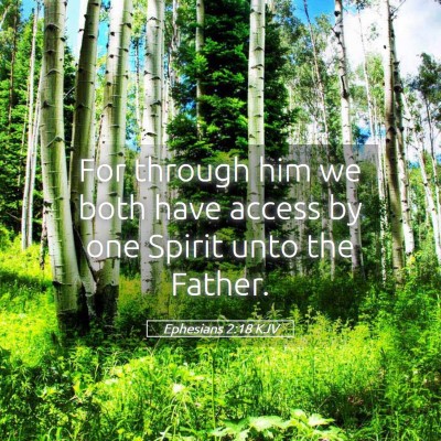 Picture 05 - Ephesians 2:18 KJV - For through him we both have access by one Spirit - Bible Verse Picture