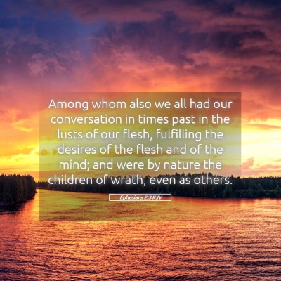 Picture 05 - Ephesians 2:3 KJV - Among whom also we all had our conversation in - Bible Verse Picture