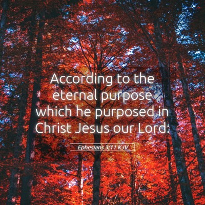 Picture 05 - Ephesians 3:11 KJV - According to the eternal purpose which he - Bible Verse Picture