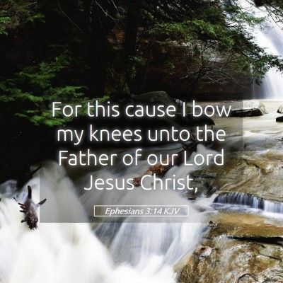 Picture 05 - Ephesians 3:14 KJV - For this cause I bow my knees unto the Father of - Bible Verse Picture