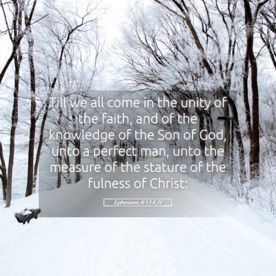 Picture 05 - Ephesians 4:13 KJV - Till we all come in the unity of the faith, and - Bible Verse Picture