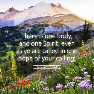 Picture 05 - Ephesians 4:4 KJV - There is one body, and one Spirit, even as ye are - Bible Verse Picture