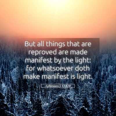 Picture 05 - Ephesians 5:13 KJV - But all things that are reproved are made - Bible Verse Picture