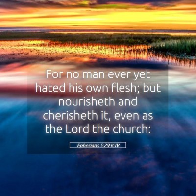 Picture 05 - Ephesians 5:29 KJV - For no man ever yet hated his own flesh; but - Bible Verse Picture