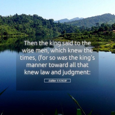 Picture 05 - Esther 1:13 KJV - Then the king said to the wise men, which knew - Bible Verse Picture