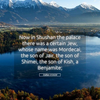 Picture 05 - Esther 2:5 KJV - Now in Shushan the palace there was a certain - Bible Verse Picture