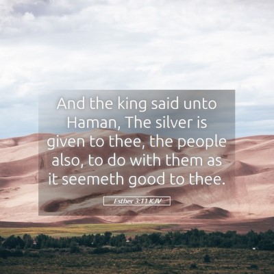 Picture 05 - Esther 3:11 KJV - And the king said unto Haman, The silver is given - Bible Verse Picture