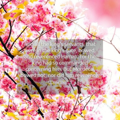 Picture 05 - Esther 3:2 KJV - And all the king's servants, that were in the - Bible Verse Picture