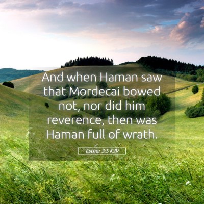 Picture 05 - Esther 3:5 KJV - And when Haman saw that Mordecai bowed not, nor - Bible Verse Picture