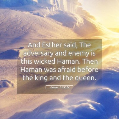 Picture 05 - Esther 7:6 KJV - And Esther said, The adversary and enemy is this - Bible Verse Picture