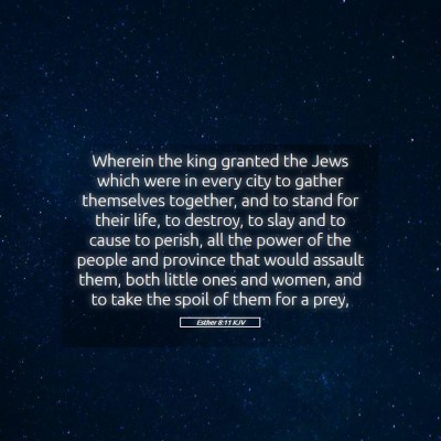 Picture 05 - Esther 8:11 KJV - Wherein the king granted the Jews which were in - Bible Verse Picture
