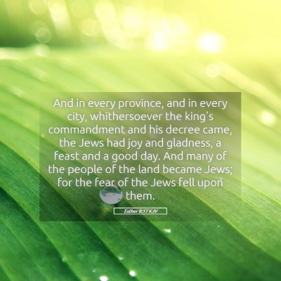 Picture 05 - Esther 8:17 KJV - And in every province, and in every city, - Bible Verse Picture