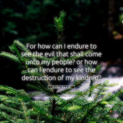 Picture 05 - Esther 8:6 KJV - For how can I endure to see the evil that shall - Bible Verse Picture