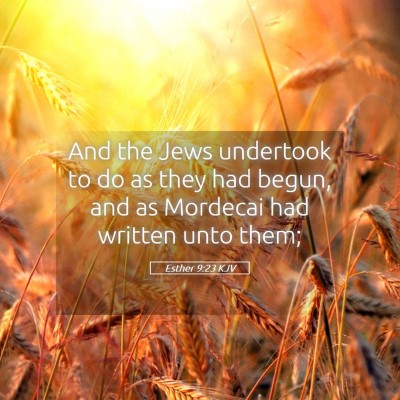 Picture 05 - Esther 9:23 KJV - And the Jews undertook to do as they had begun, - Bible Verse Picture