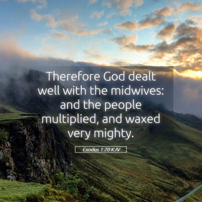 Picture 05 - Exodus 1:20 KJV - Therefore God dealt well with the midwives: and - Bible Verse Picture
