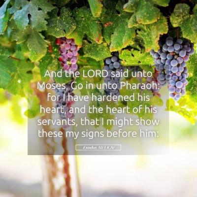 Picture 05 - Exodus 10:1 KJV - And the LORD said unto Moses, Go in unto Pharaoh: - Bible Verse Picture