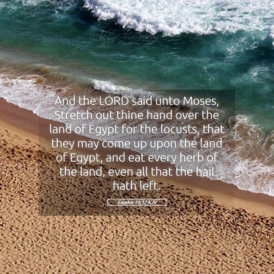 Picture 05 - Exodus 10:12 KJV - And the LORD said unto Moses, Stretch out thine - Bible Verse Picture