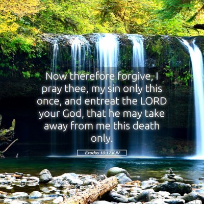 Picture 05 - Exodus 10:17 KJV - Now therefore forgive, I pray thee, my sin only - Bible Verse Picture