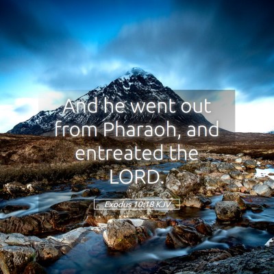 Picture 05 - Exodus 10:18 KJV - And he went out from Pharaoh, and entreated the - Bible Verse Picture