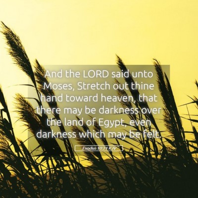 Picture 05 - Exodus 10:21 KJV - And the LORD said unto Moses, Stretch out thine - Bible Verse Picture