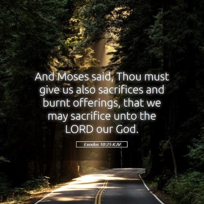 Picture 05 - Exodus 10:25 KJV - And Moses said, Thou must give us also sacrifices - Bible Verse Picture
