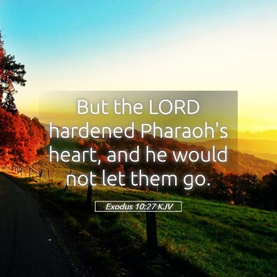 Picture 05 - Exodus 10:27 KJV - But the LORD hardened Pharaoh's heart, and he - Bible Verse Picture