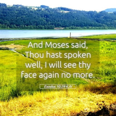 Picture 05 - Exodus 10:29 KJV - And Moses said, Thou hast spoken well, I will see - Bible Verse Picture
