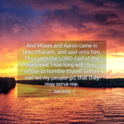 Picture 05 - Exodus 10:3 KJV - And Moses and Aaron came in unto Pharaoh, and - Bible Verse Picture