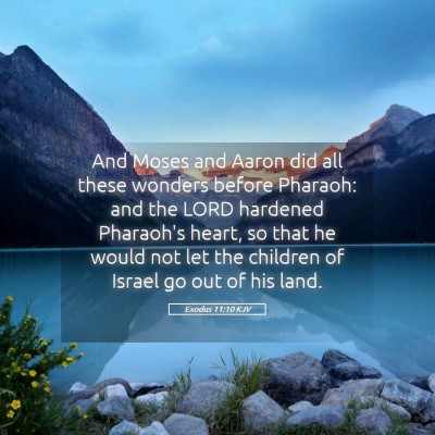Picture 05 - Exodus 11:10 KJV - And Moses and Aaron did all these wonders before - Bible Verse Picture
