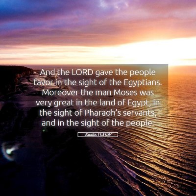 Picture 05 - Exodus 11:3 KJV - And the LORD gave the people favor in the sight - Bible Verse Picture