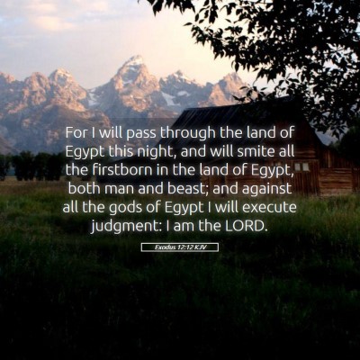 Picture 05 - Exodus 12:12 KJV - For I will pass through the land of Egypt this - Bible Verse Picture