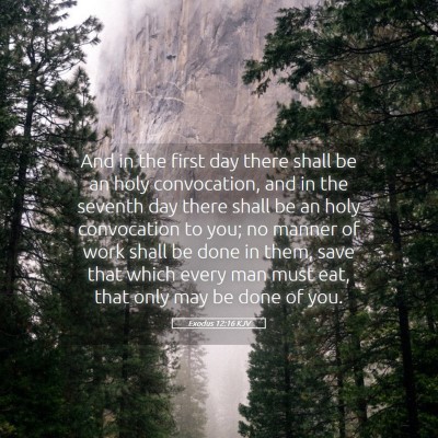 Picture 05 - Exodus 12:16 KJV - And in the first day there shall be an holy - Bible Verse Picture