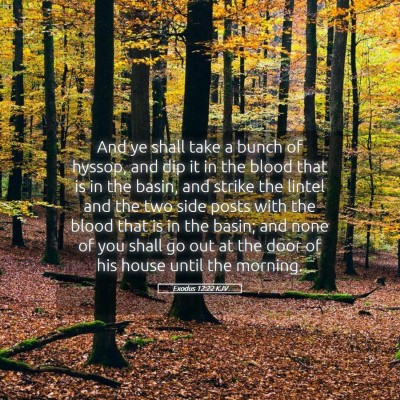 Picture 05 - Exodus 12:22 KJV - And ye shall take a bunch of hyssop, and dip it - Bible Verse Picture