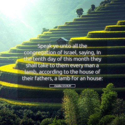 Picture 05 - Exodus 12:3 KJV - Speak ye unto all the congregation of Israel, - Bible Verse Picture