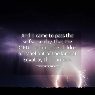 Picture 05 - Exodus 12:51 KJV - And it came to pass the selfsame day, that the - Bible Verse Picture