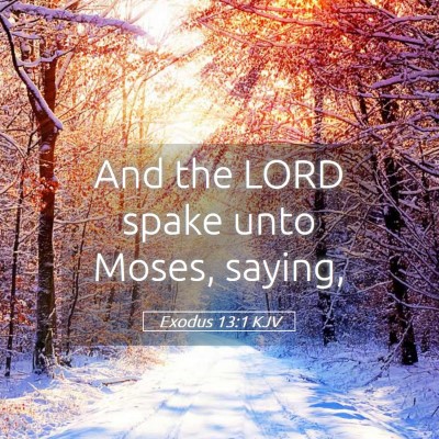 Picture 05 - Exodus 13:1 KJV - And the LORD spake unto Moses, - Bible Verse Picture