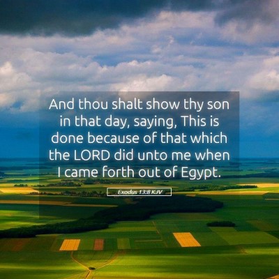 Picture 05 - Exodus 13:8 KJV - And thou shalt show thy son in that day, saying, - Bible Verse Picture