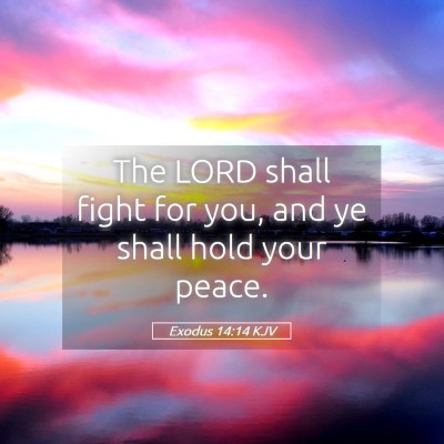 Picture 05 - Exodus 14:14 KJV - The LORD shall fight for you, and ye shall hold - Bible Verse Picture