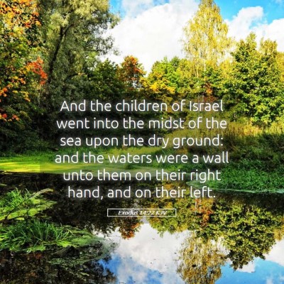 Picture 05 - Exodus 14:22 KJV - And the children of Israel went into the midst of - Bible Verse Picture