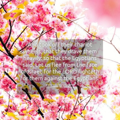 Picture 05 - Exodus 14:25 KJV - And took off their chariot wheels, that they - Bible Verse Picture