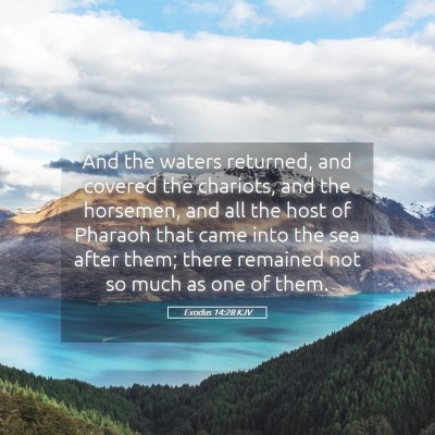 Picture 05 - Exodus 14:28 KJV - And the waters returned, and covered the - Bible Verse Picture