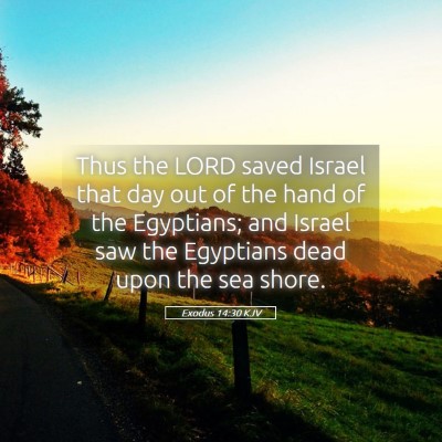 Picture 05 - Exodus 14:30 KJV - Thus the LORD saved Israel that day out of the - Bible Verse Picture