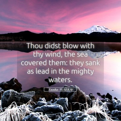 Picture 05 - Exodus 15:10 KJV - Thou didst blow with thy wind, the sea covered - Bible Verse Picture
