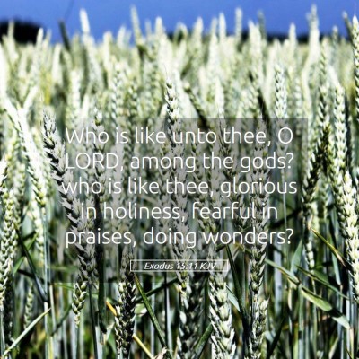 Picture 05 - Exodus 15:11 KJV - Who is like unto thee, O LORD, among the gods? - Bible Verse Picture
