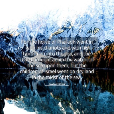 Picture 05 - Exodus 15:19 KJV - For the horse of Pharaoh went in with his - Bible Verse Picture