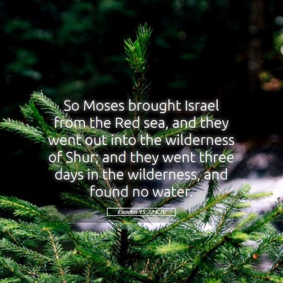 Picture 05 - Exodus 15:22 KJV - So Moses brought Israel from the Red sea, and - Bible Verse Picture