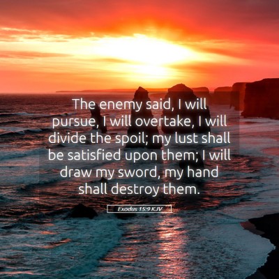 Picture 05 - Exodus 15:9 KJV - The enemy said, I will pursue, I will overtake, I - Bible Verse Picture